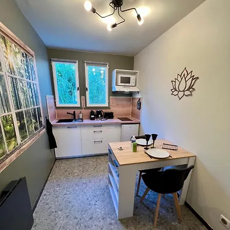 Cocon Proche Chu-emailleurs Appartement